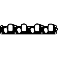 MANIFOLD GASKET FIAT BRAVA/BRAVO 95> 1.9 TD [1910] IN